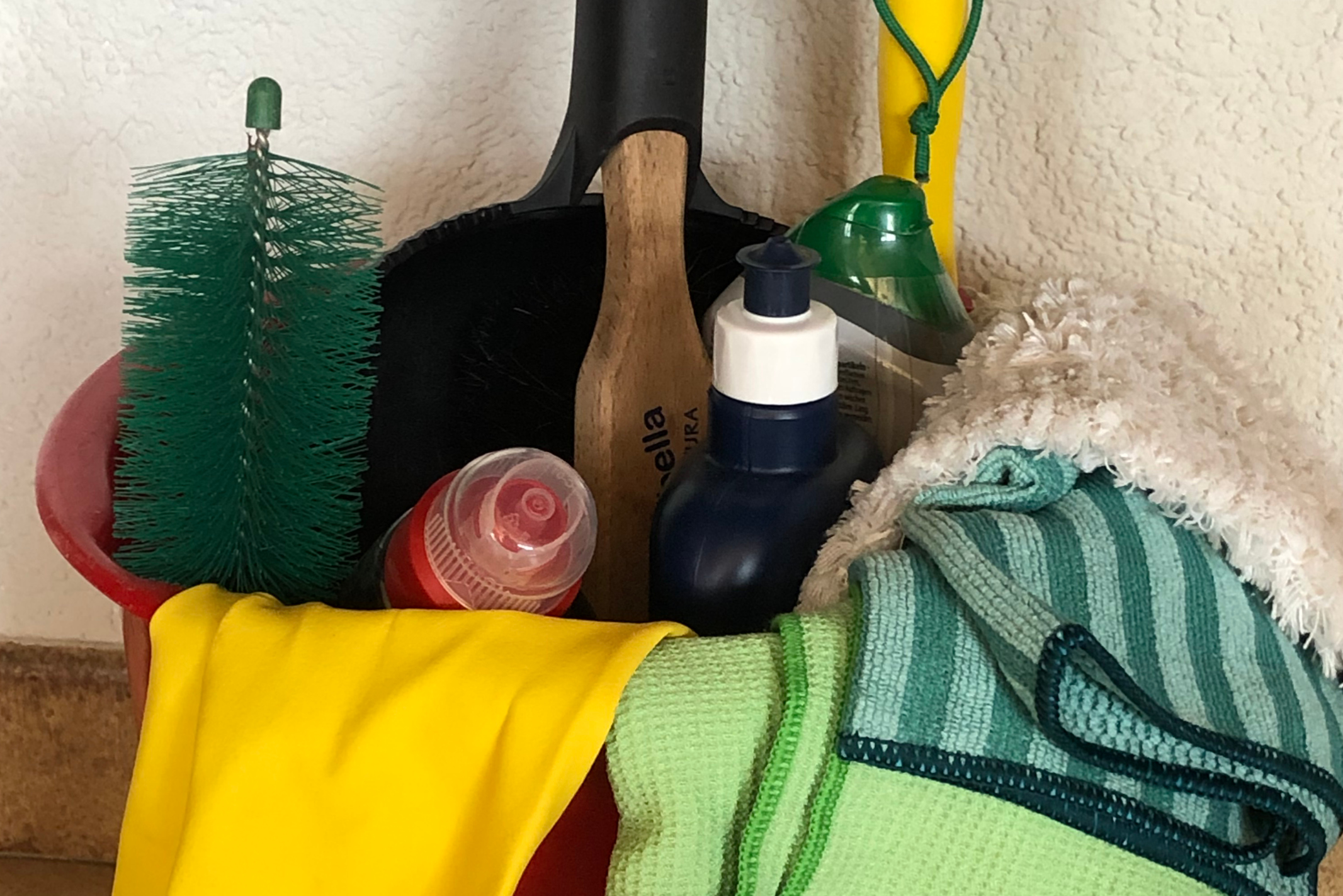 Fenster putzen und pflegen - Alle Tipps und Tricks